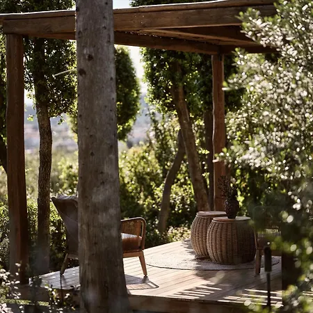 别墅 Sentiero Iconic Villa, A Serene Retreat, By Thinkvilla
